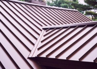 what does a standing seam metal roof look like